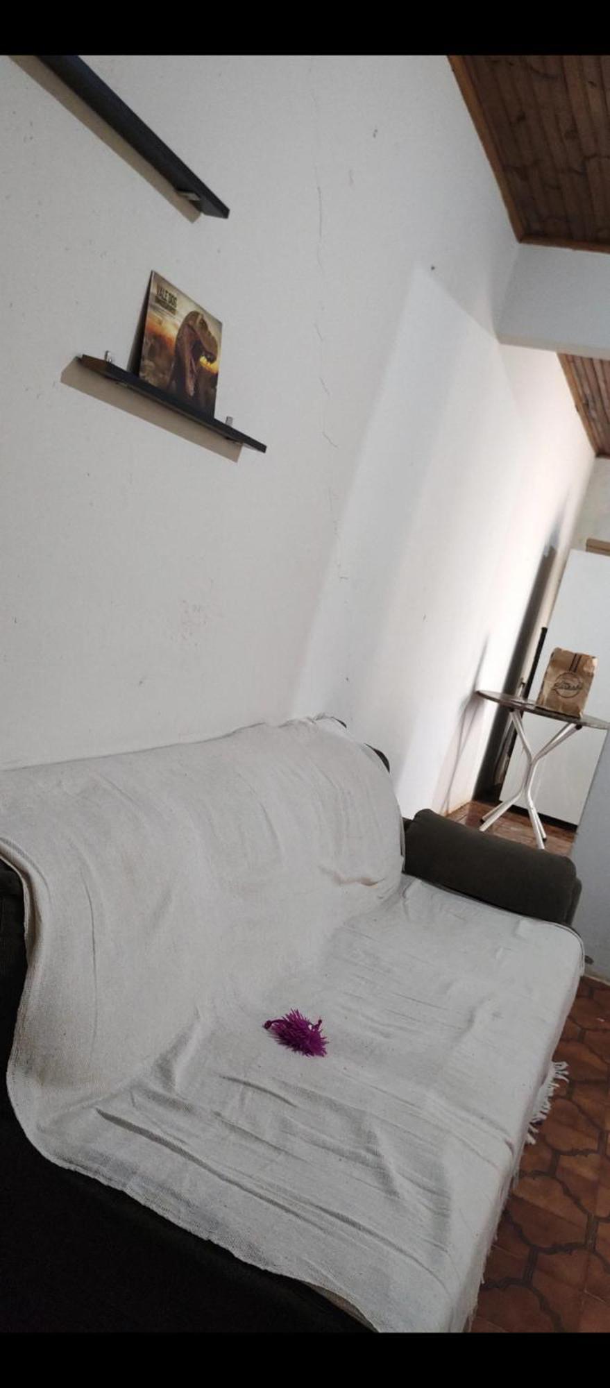 Pe De Pitanga - Unica Casa Arborizada Do Quarteirao Com Arvores Frutiferas Maringa Ngoại thất bức ảnh